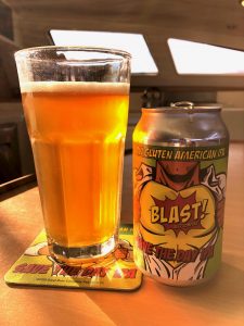 Glass of Save The Day IPA